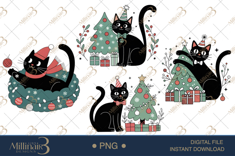 Black Cat Png Image 19