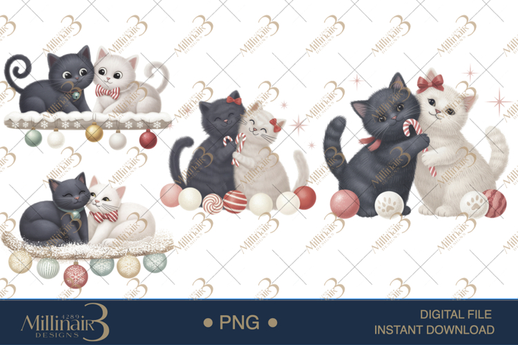 Cat Png Image 22