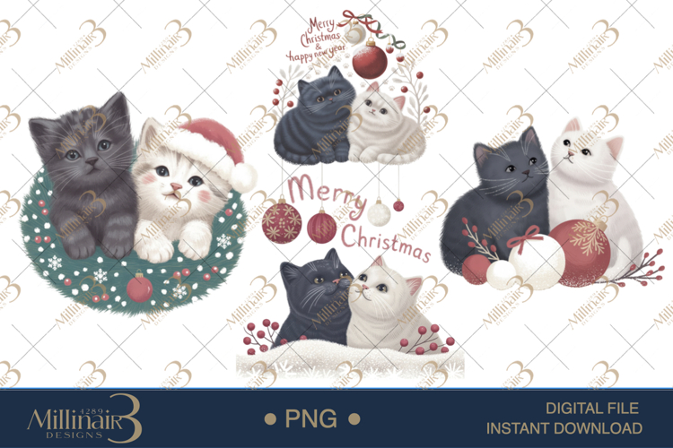 Cat Png Image 21