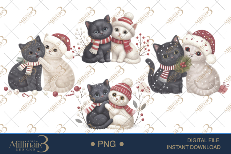 Cat Png Image 20