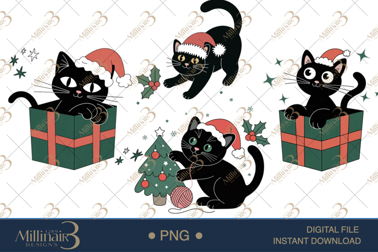 Black Cat Png Image 15