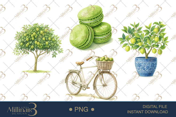 Fruit Png Image 12