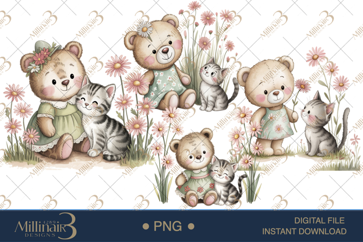 Kitten Png Image 20