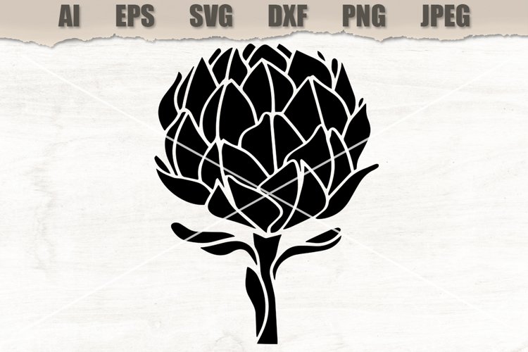 Pumpkin Vector Image 11