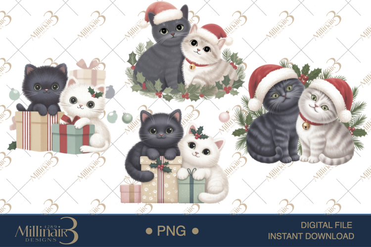 Cat Png Image 17