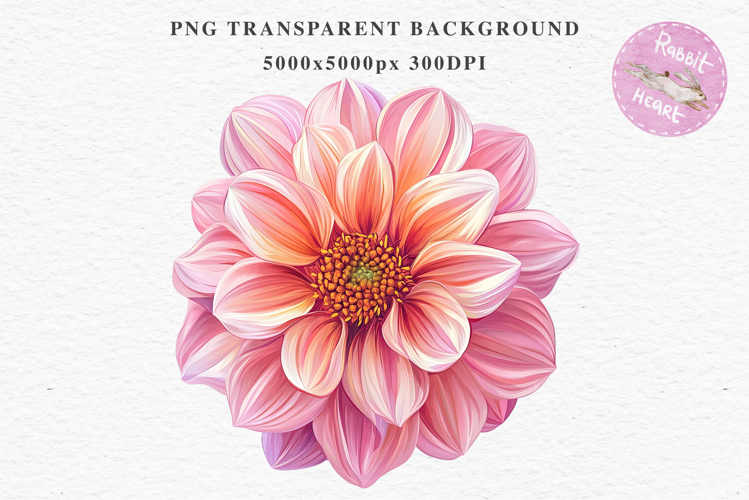 Pink Spring Dahlia Flowers Daisies Pansies Lilies Snapdragon