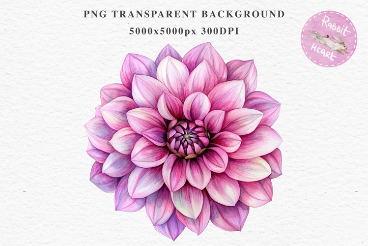Pink Spring Dahlia Flowers Daisies Pansies Lilies Snapdragon