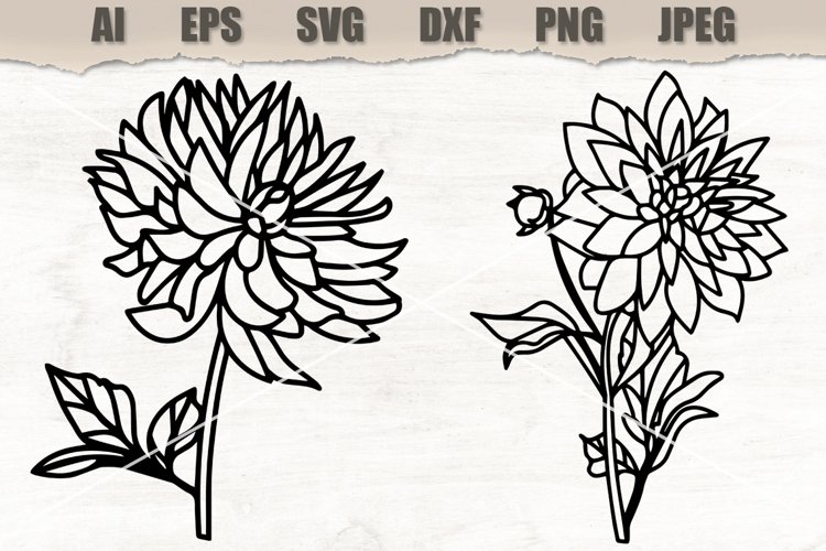 Floral Clipart Image 9