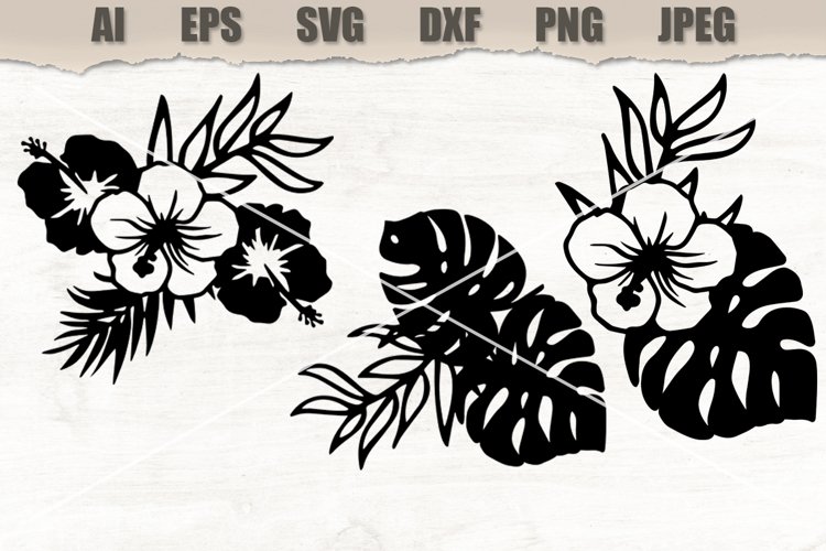 Clipart Manstera SVG