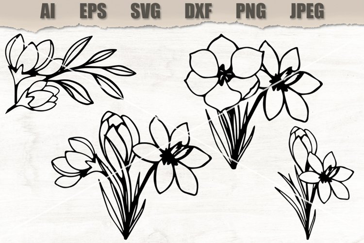 Floral Clipart Image 4