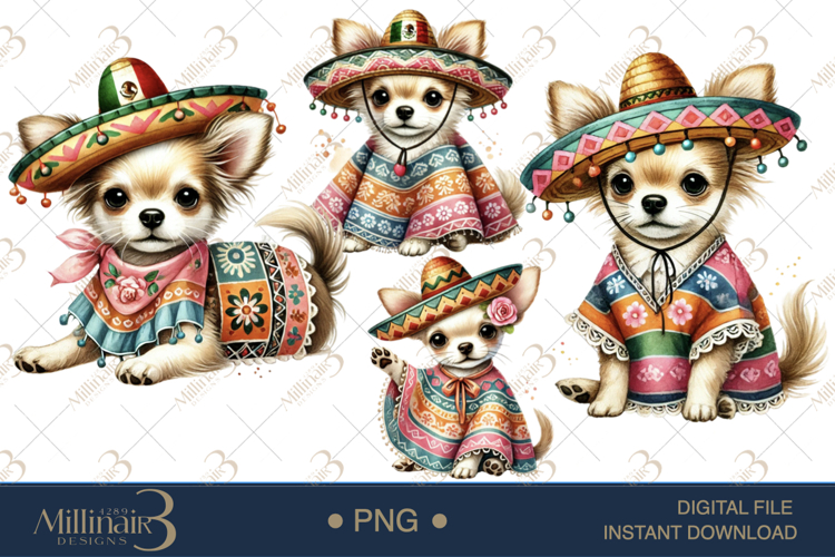 Sombrero PNG Image 20