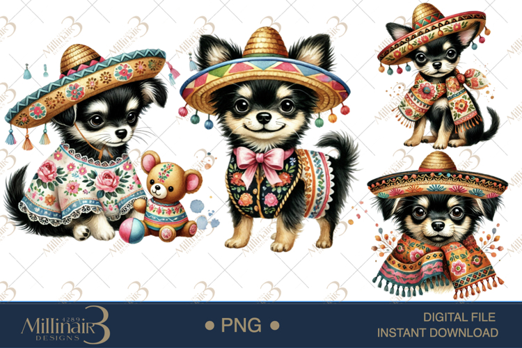 Sombrero PNG Image 19