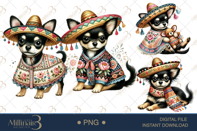 Sombrero PNG Image 18