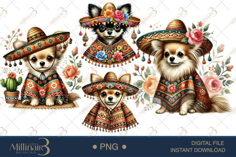 Sombrero PNG Image 16