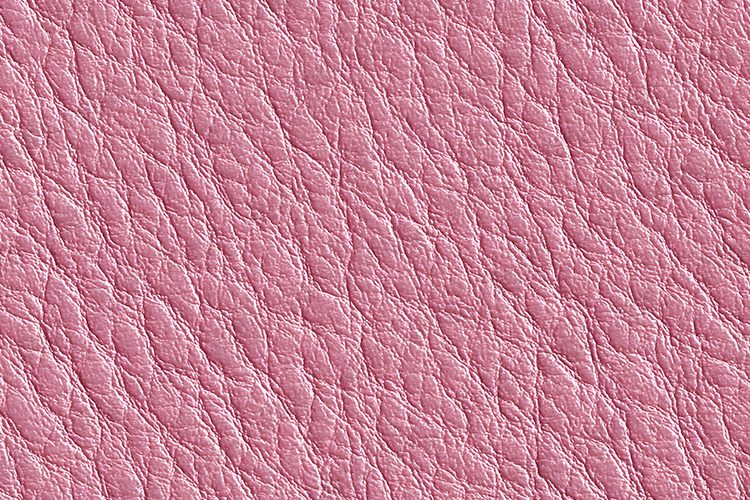 Leather Texture Image 10