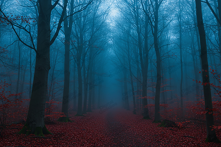 Foggy Dark Forest Path Background with Red Leaves Texture