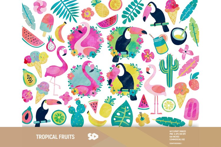 Watercolor Cactus Clipart Image 7