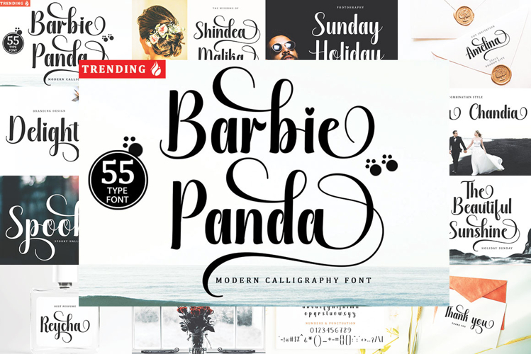 Barbie Panda - Family Font In 55 Type