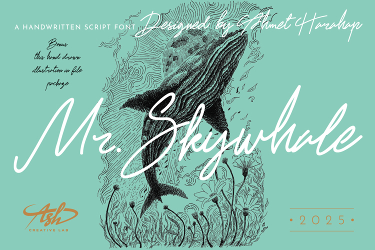 Mr. Skywhale - A Handwritten Script Font