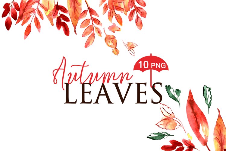 Fall Leaves Png Image 11