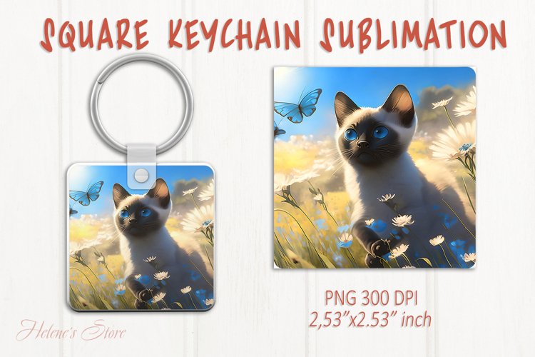 Kitten Png Image 4