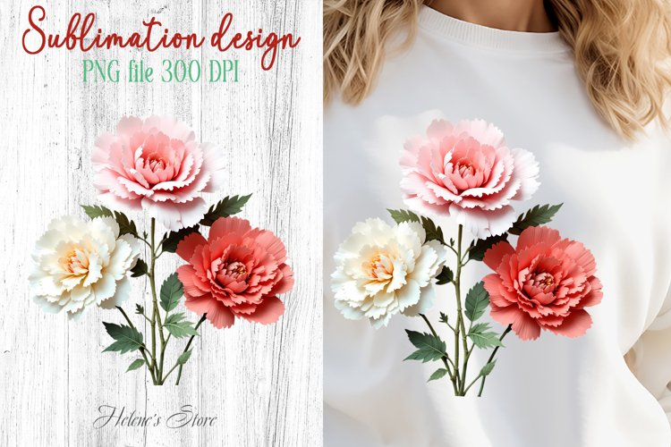 Carnations flowers sublimation design png | Floral clipart