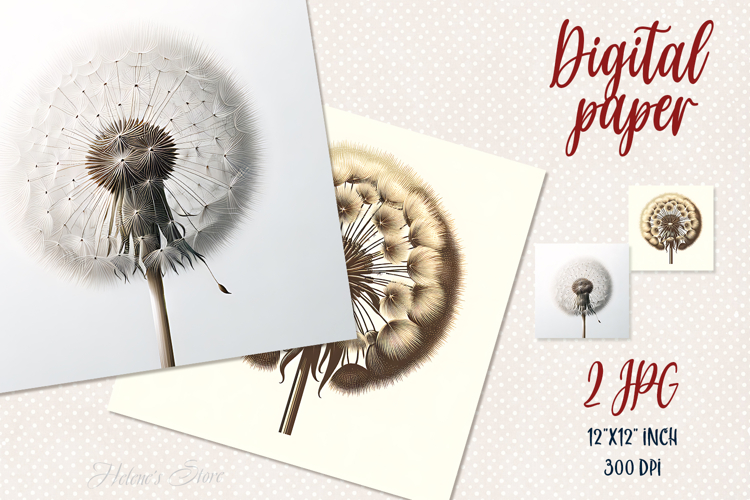 Vintage fluffy dandelion digital papers jpeg |Scrap booking