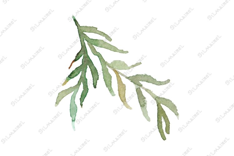 Green Grass Clipart Image 3