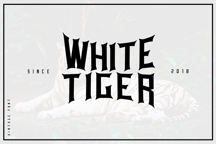 Web Font White tiger example image 1