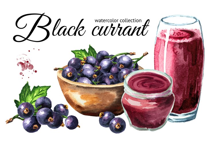 Black currant. Watercolor collection example image 1