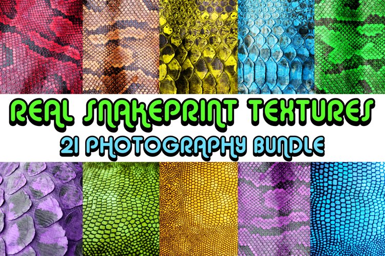 Coloured Snake Print Skin 21 Photography Testure Bundle! example image 1