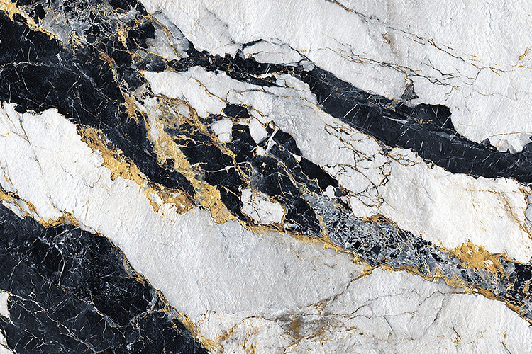 White Black Marble Texture with Gold Veins