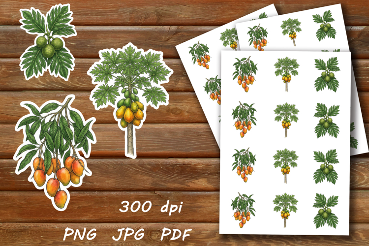 Tropical Fruit Trees Stickers set. Clipart