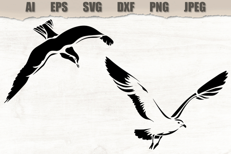 Stencils Seagull Bird