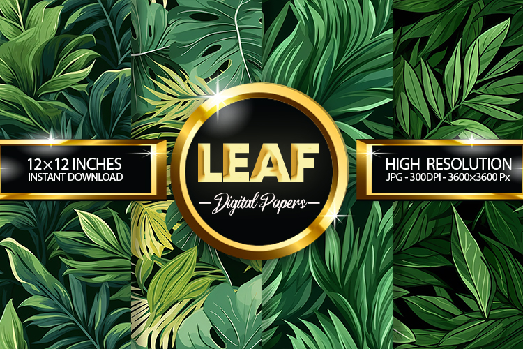Rainforest Clipart Image 9