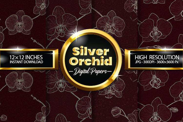 Orchid Clipart Image 18