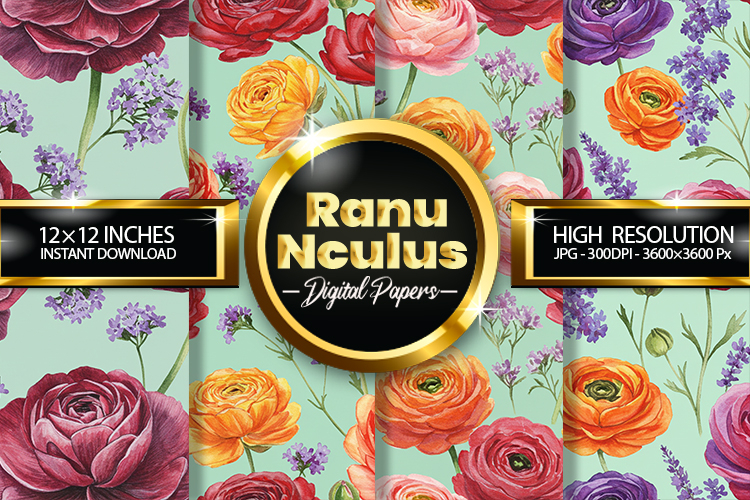 Watercolor Ranunculus Digital Papers - 04 Variations
