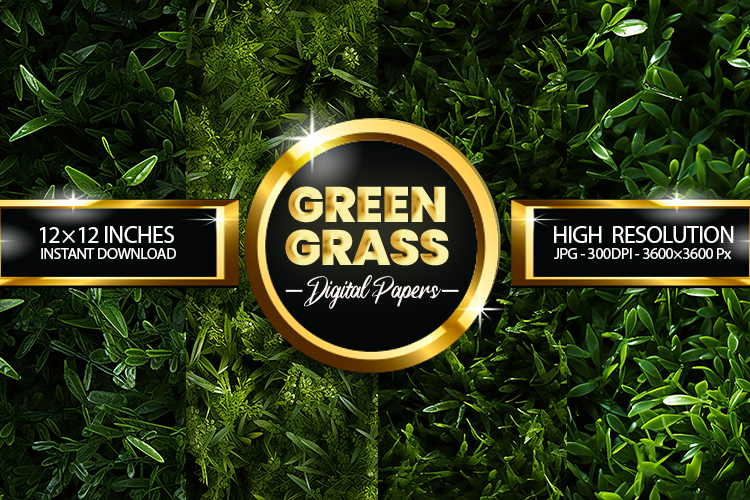 Green Grass Clipart Image 24