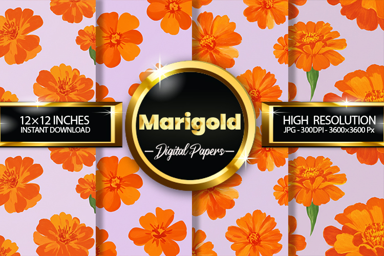 Marigold Clipart