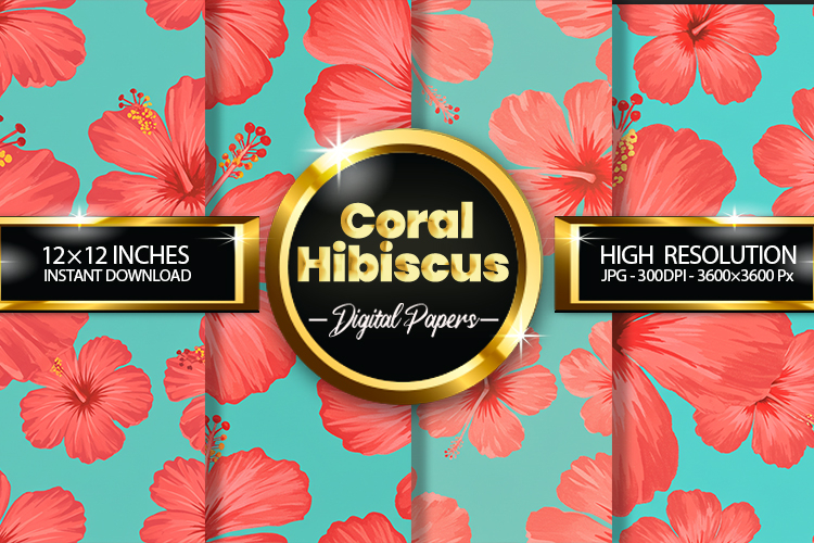 Hibiscus Illustration Image 17