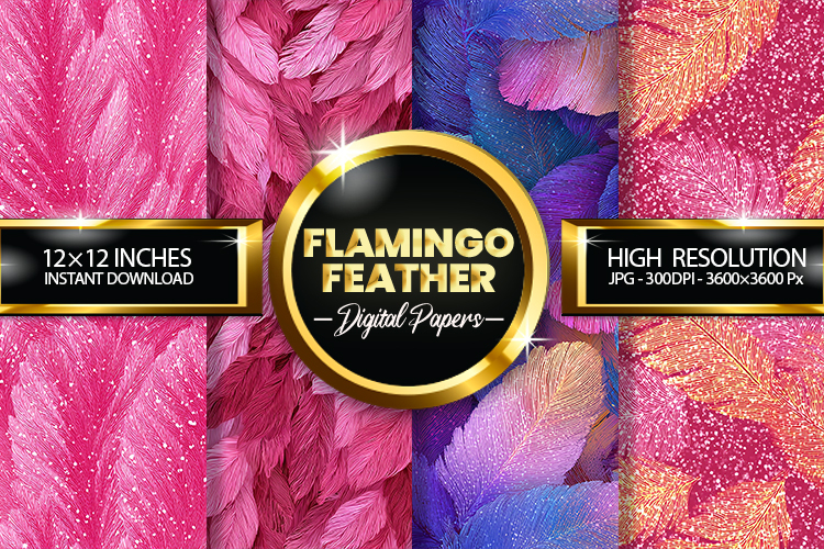 Feather Clipart Image 3