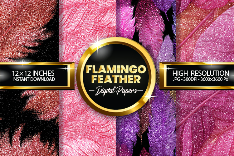 Feather Clipart