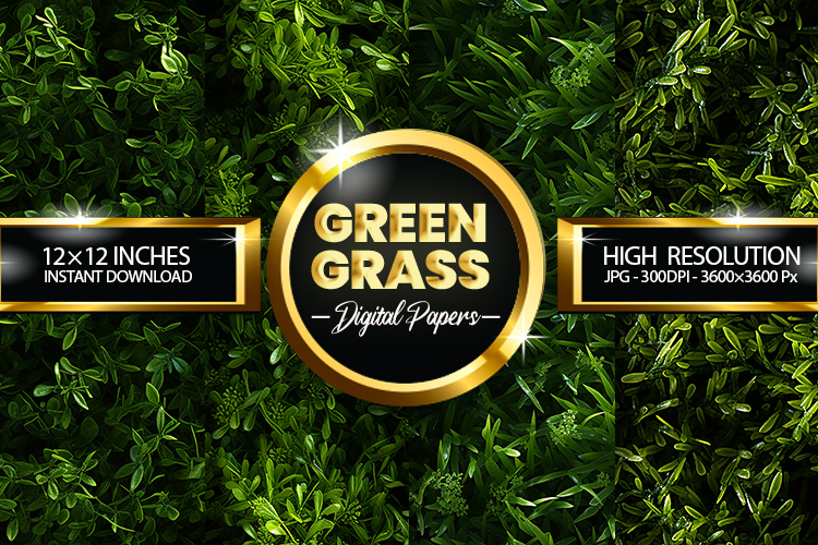 Green Grass Clipart Image 6