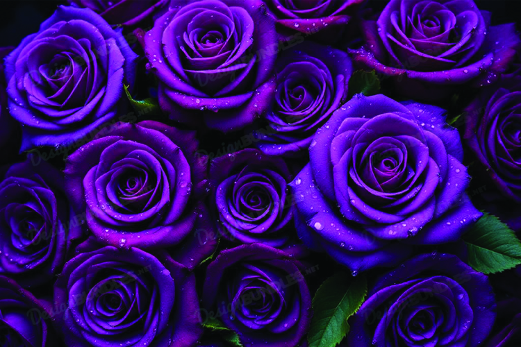 Floral Background Image 3