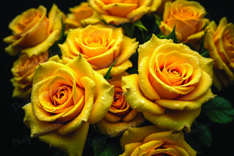Yellow Rose Clipart Image 18