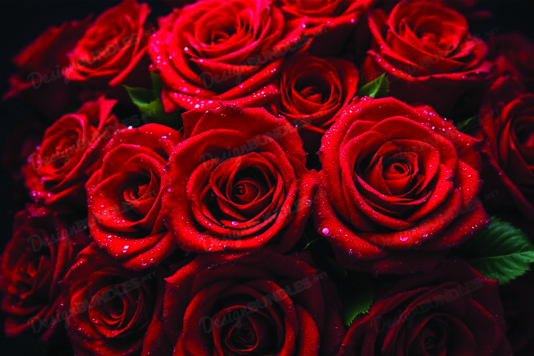 Red Roses Clipart Image 20