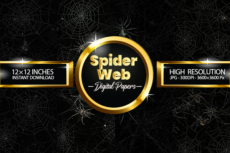 Spider Web Texture Image 4