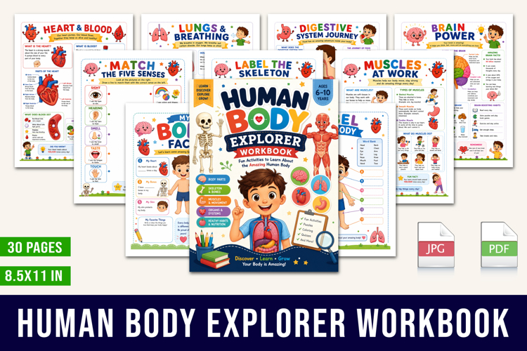 Human Body Explorer Workbook