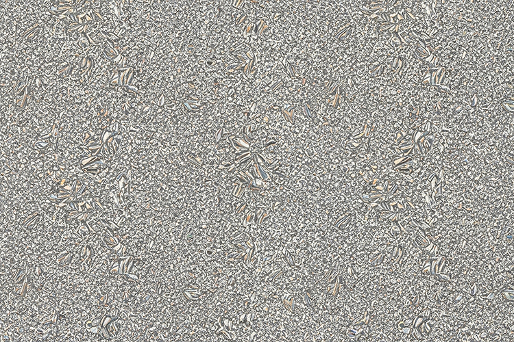 Leaf Texture Image 10