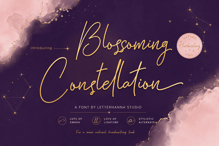 Fonts with Swashes Image 20